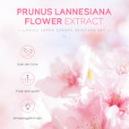 Cherry Blossom 5-Piece Skincare Gift Set